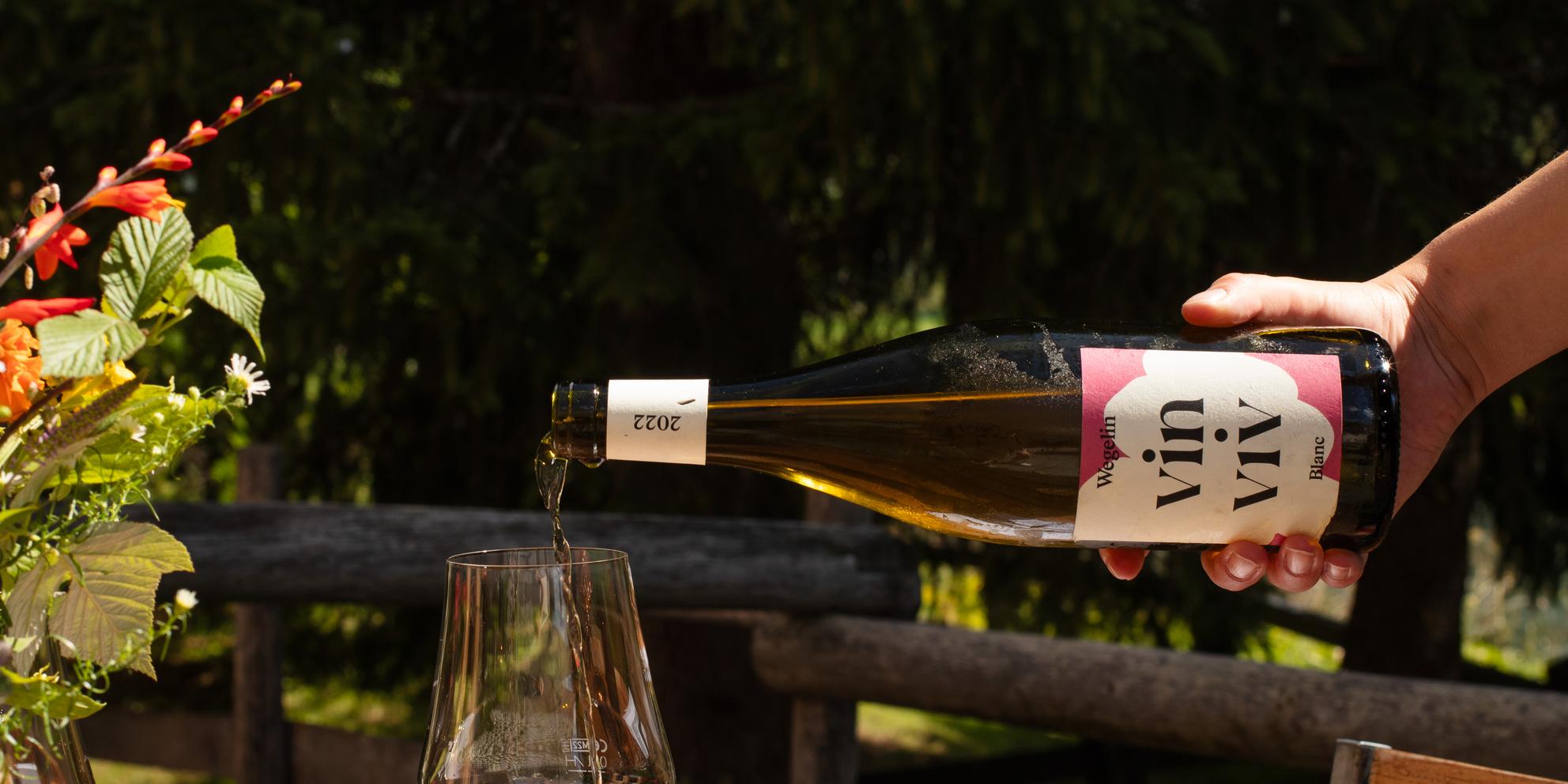 Image of Wine Saturday