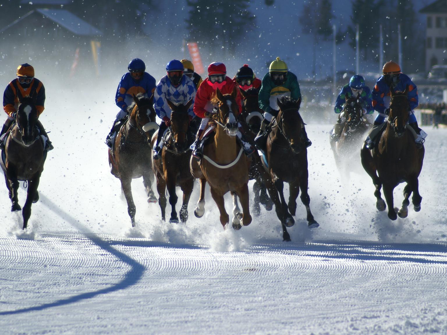 White Turf - Sporting Experience in St. Moritz | Chesa Rosatsch