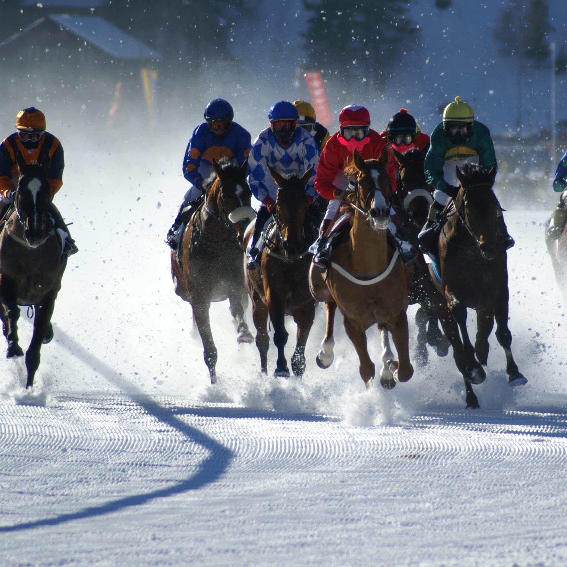 Bild von White Turf  – Sporterlebnis in St. Moritz