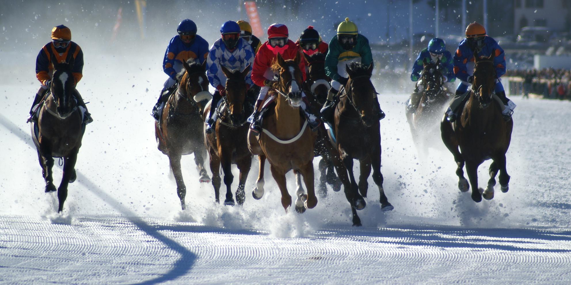 Bild von White Turf  – Sporterlebnis in St. Moritz