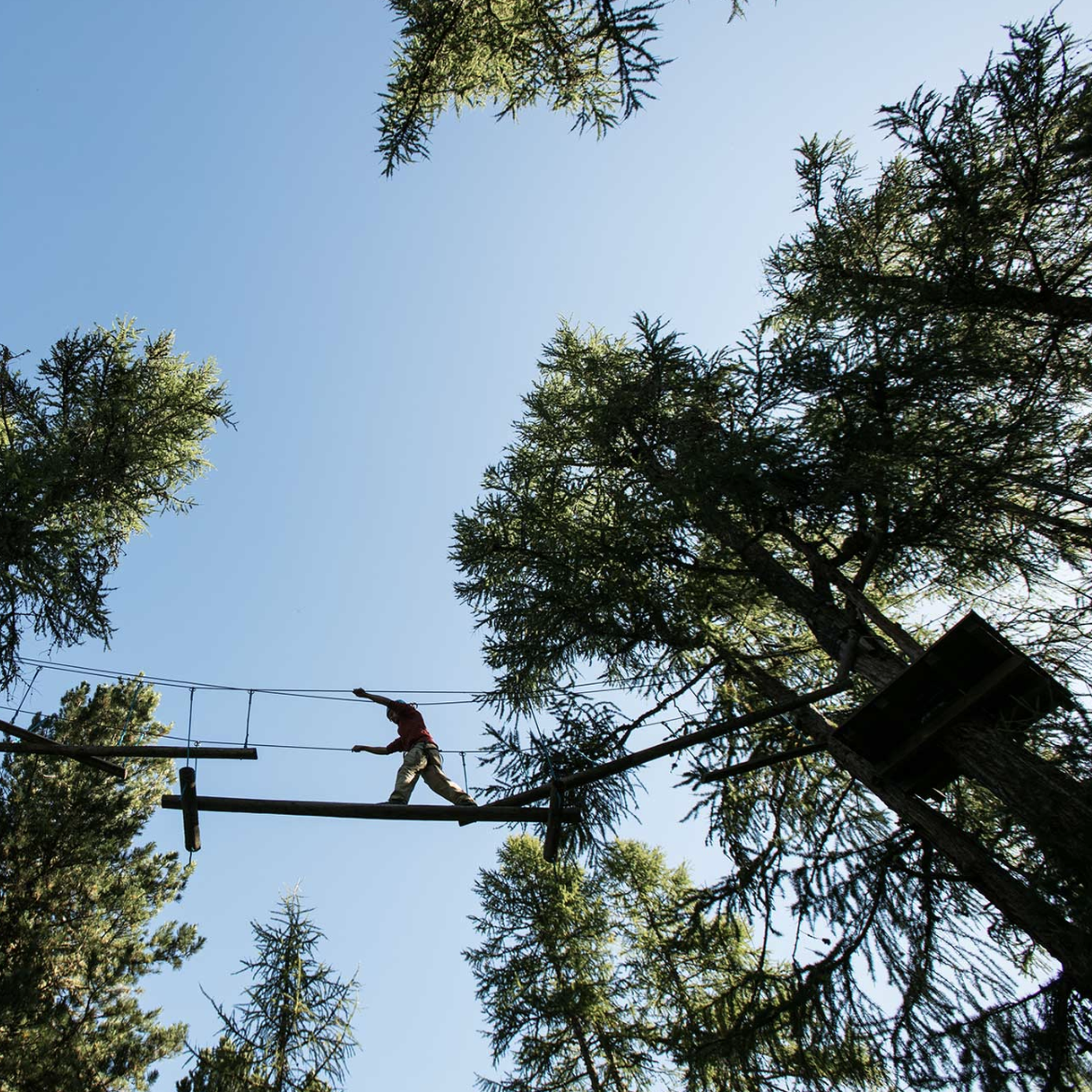 Bild von Go Vertical | Seilpark Pontresina