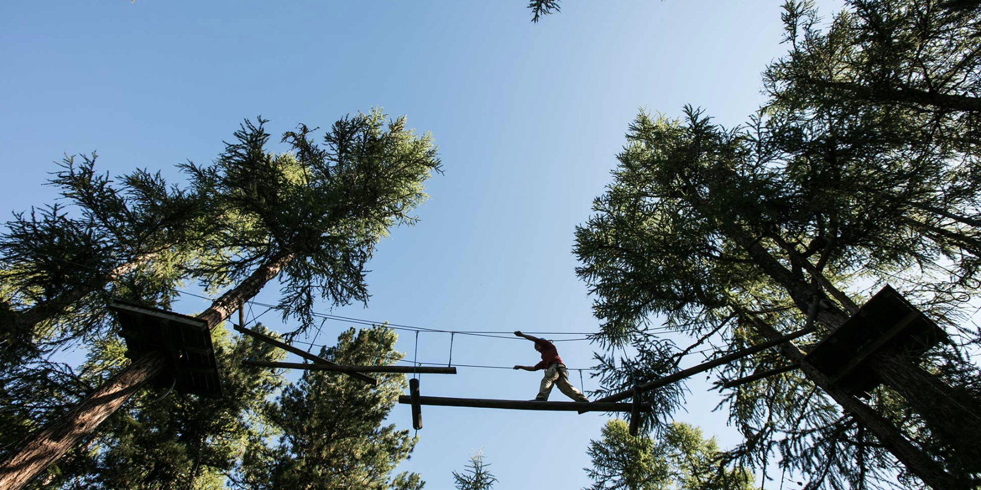 Bild von Go Vertical | Seilpark Pontresina