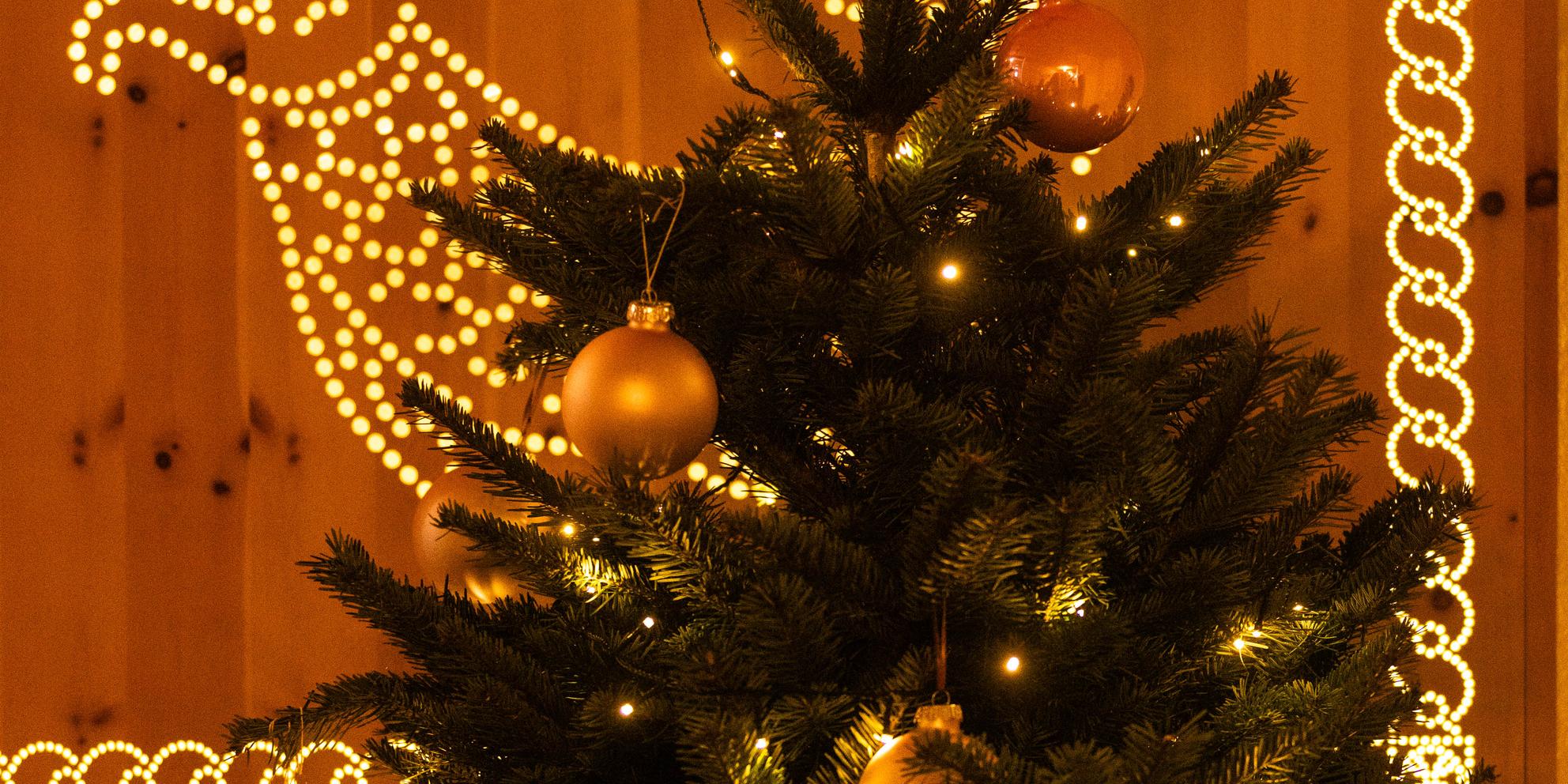 Image of Christmas at Rosatsch