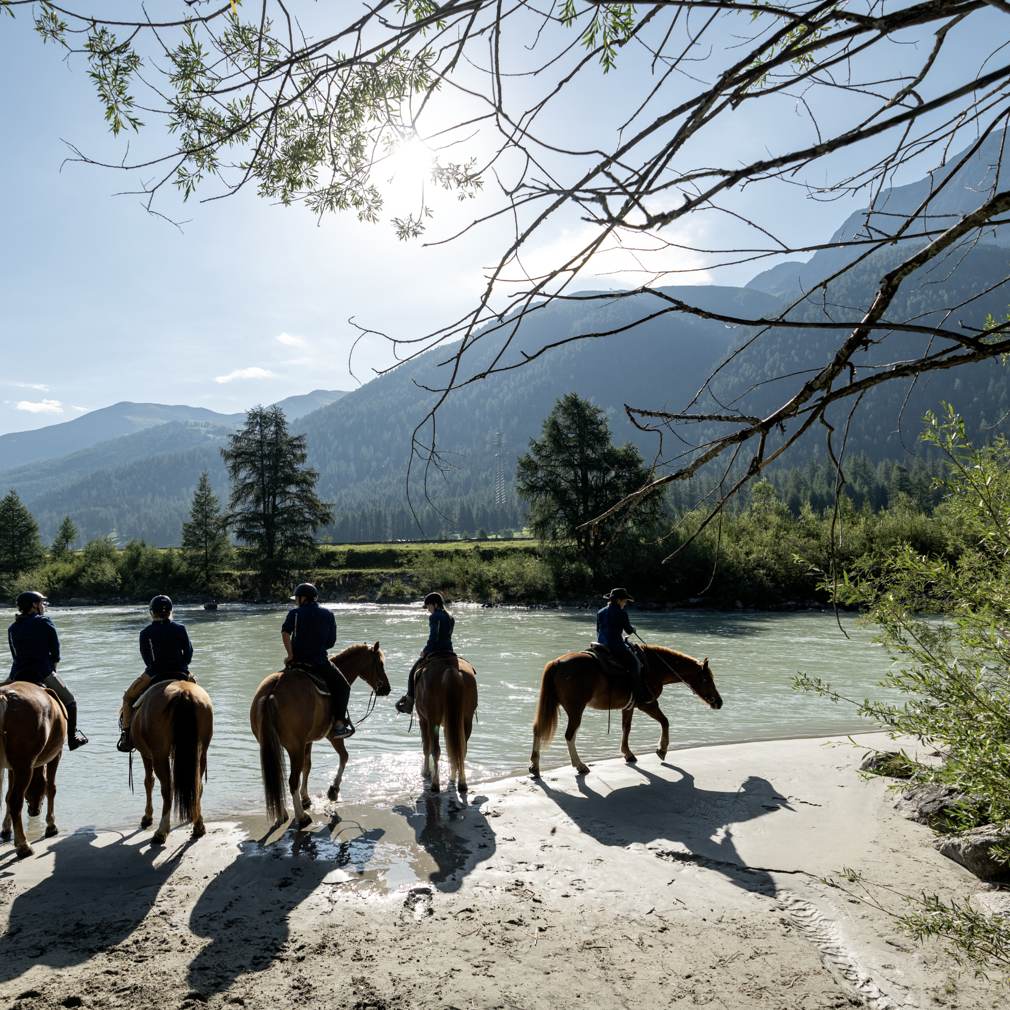 Bild von Reiten in Pontresina