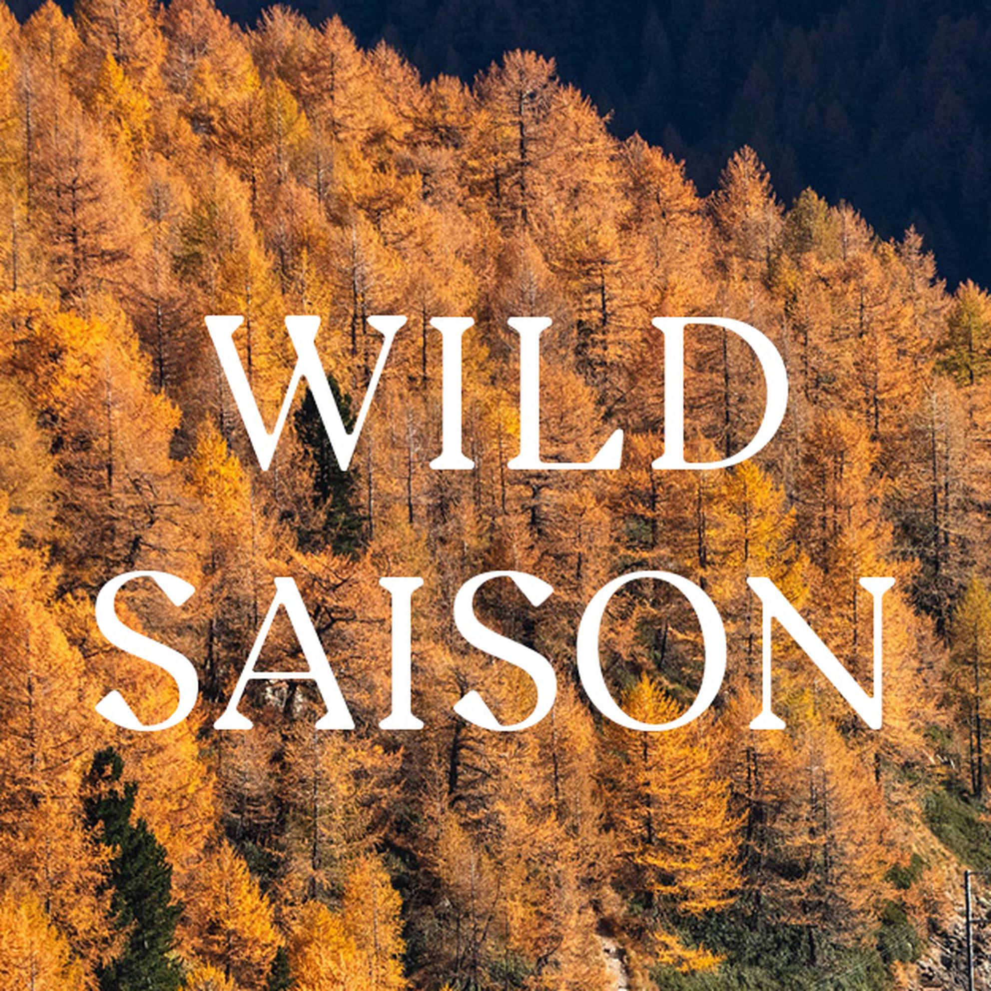 Bild von Wildsaison